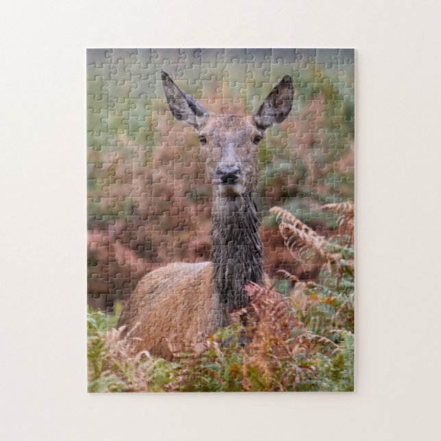 Quebra-cabeça Você Está Falando Comigo? - 11x14 - 252 peças (Vertical)