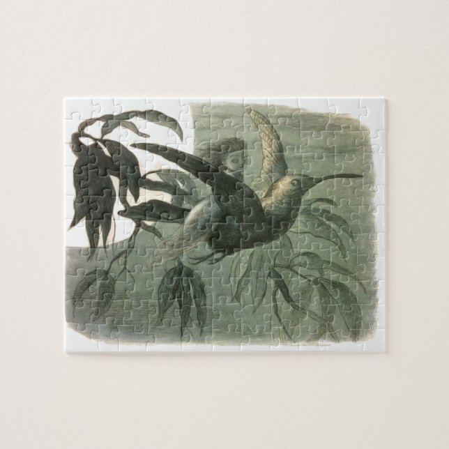 Quebra-cabeça Voo à Lua Elf Fairies Natureza Rich Desenho (Horizontal)