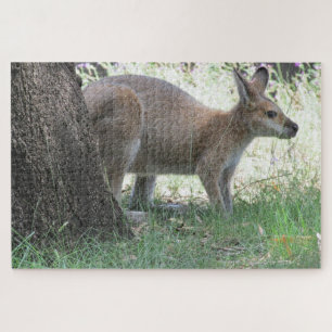 Quebra-cabeça wallaby