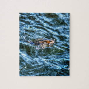 Quebra-cabeça Walleye Pesca ao ar livre Arte desportiva do pesca