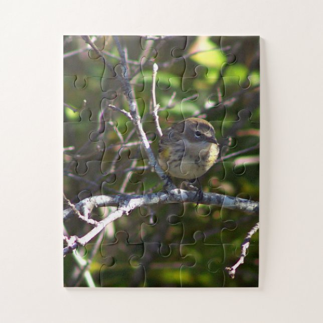 Quebra-cabeça Warbler Bird Photo Puzzle  (Vertical)