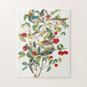 Quebra-cabeça Warbler de John James Audubon