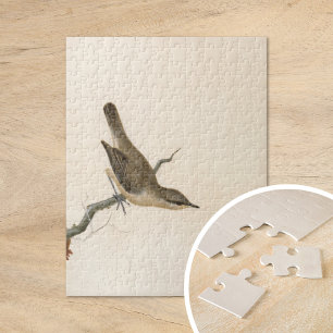 Quebra-cabeça Warbler Reed Wren William Lewin