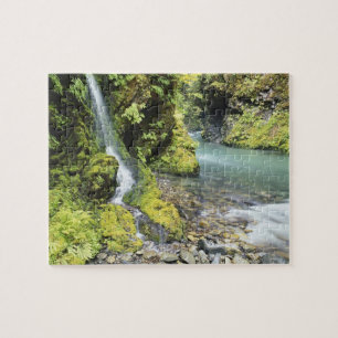 Quebra-cabeça Washington, Parque Nacional Olímpico, Sazonal