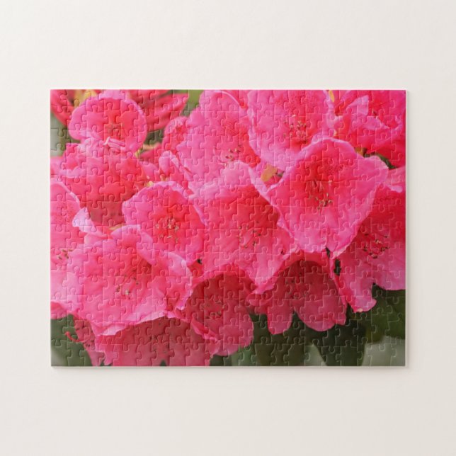 Quebra-cabeça Washington, Seattle, Puget Sound, Discovery Park (Horizontal)