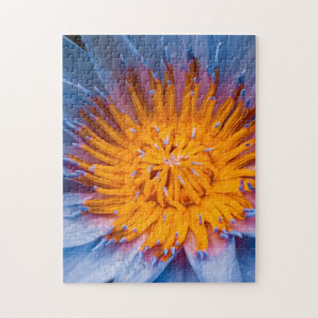 Quebra-cabeça Water Lily Puzzle 11" X 14" 252 pieces (Vertical)