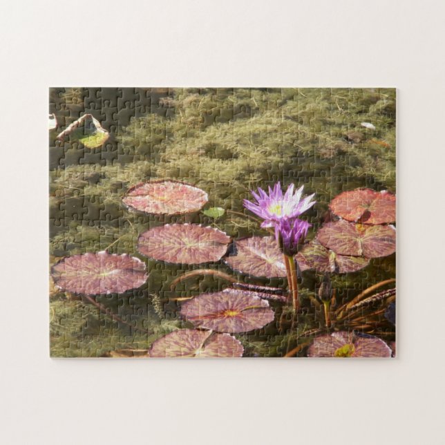 Quebra-cabeça Watercolor Waterlily (Horizontal)
