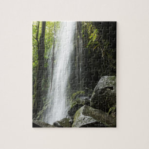 Quebra-cabeça Waterfal, na floresta húmida, Dominica, piscina