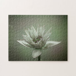 Quebra-cabeça Waterlily green tone puzzle