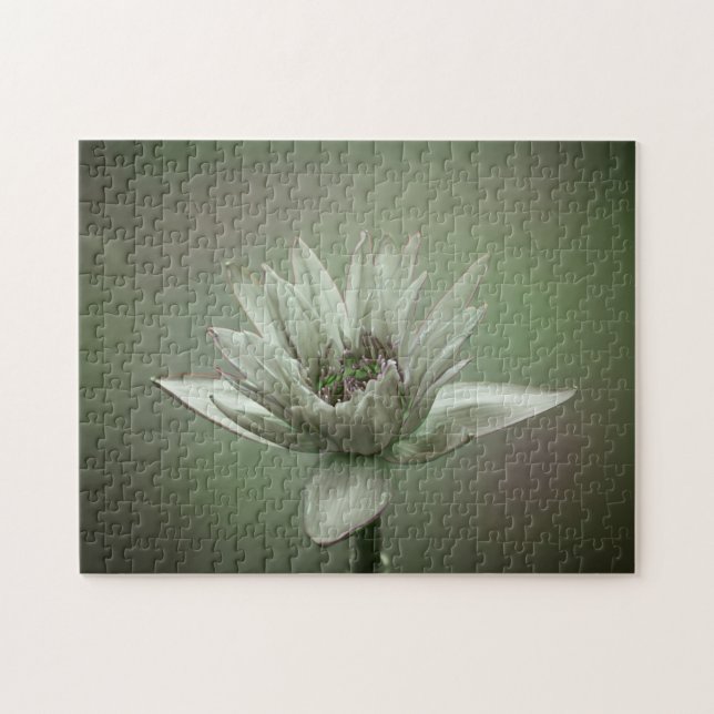 Quebra-cabeça Waterlily green tone puzzle (Horizontal)