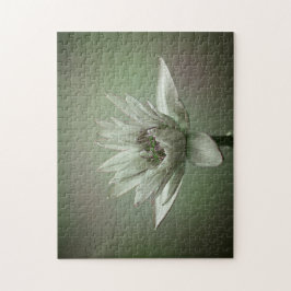 Quebra-cabeça Waterlily green tone puzzle