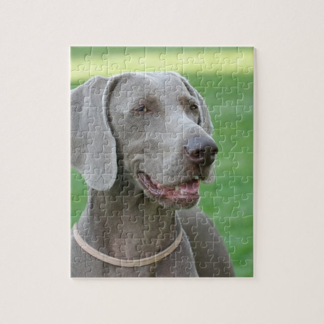 Quebra-cabeça Weimaraner (Vertical)