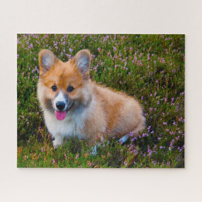 Quebra-cabeça Welsh Corgi Dogs Jigsaws. (Horizontal)