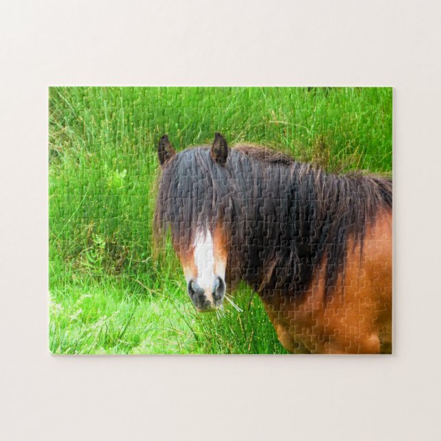QUEBRA-CABEÇA WELSH MOUNTAIN PONY (Horizontal)