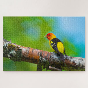 Quebra-cabeça Western Tanager Super Desafiando o Pássaro