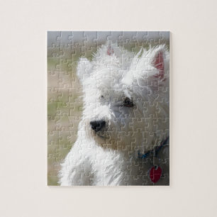 Quebra-cabeça Westie na primavera