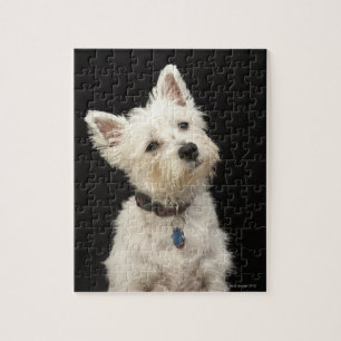 Quebra-cabeça Westie (terrier ocidental das montanhas) com colar