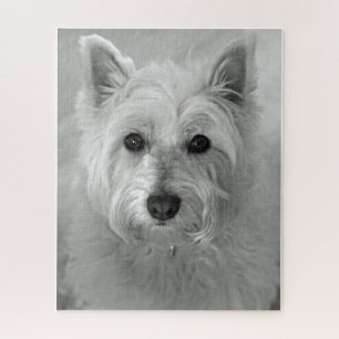 Quebra-cabeça Westie (West Highland White Terrier)
