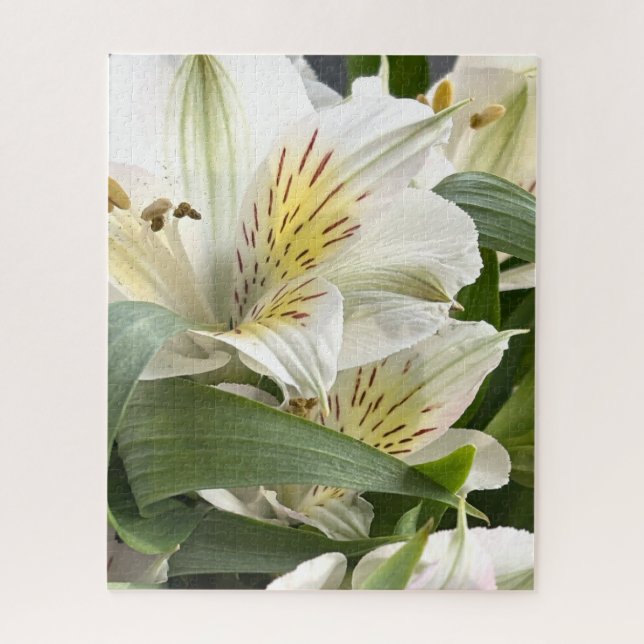 Quebra-cabeça White Alstroemeria Flowers Close-Up Photograph (Vertical)