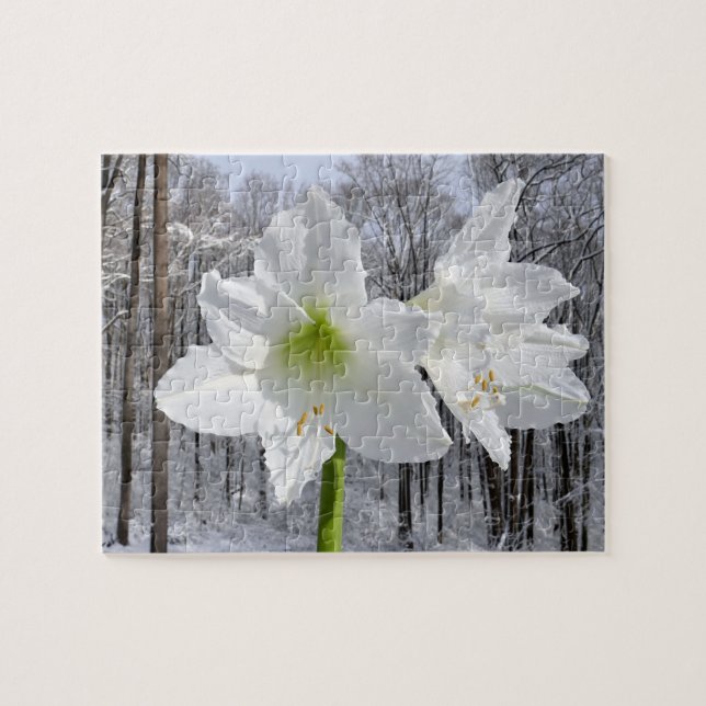 Quebra-cabeça White Amaryllis e Snow I (Horizontal)