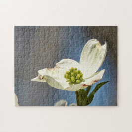 Quebra-cabeça White Dogwood Bloom