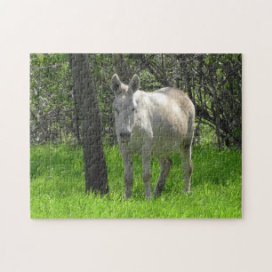 Quebra-cabeça White Donkey na Fazenda no Centro-Oeste