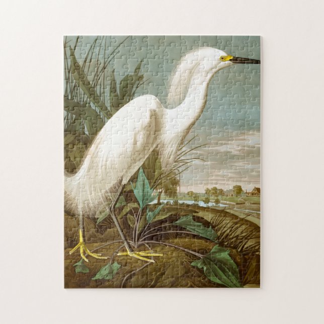 Quebra-cabeça White Heron por John James Audubon (Vertical)