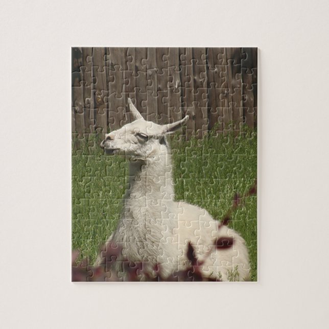Quebra-cabeça White Llama (Vertical)