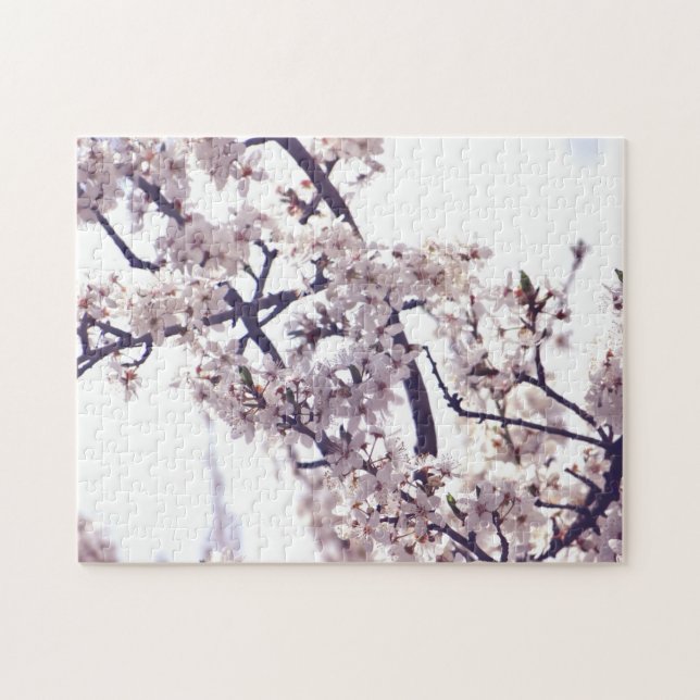 Quebra-cabeça White Plum Blossom Spring Tree Nature Photography (Horizontal)