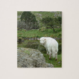 Quebra-cabeça White Sheep, Wales & British Hilwalk