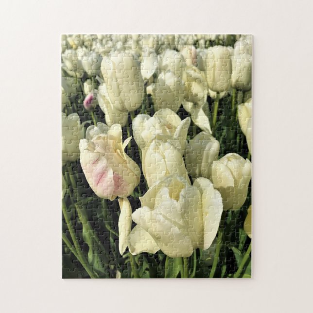 Quebra-cabeça White Tulips, Oregon (Vertical)
