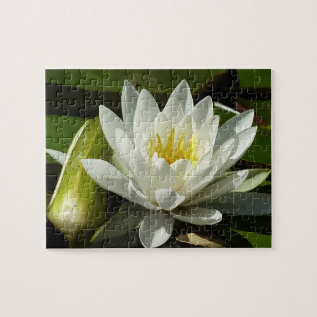 Quebra-cabeça White Waterlily e Bud Floral (Horizontal)