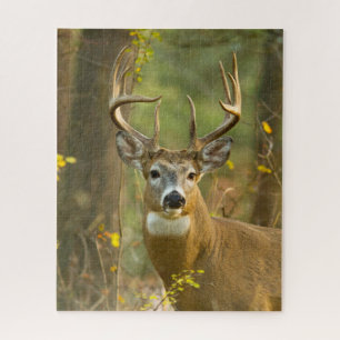 Quebra-cabeça Whitetail Deer Buck Whitefish, Montana
