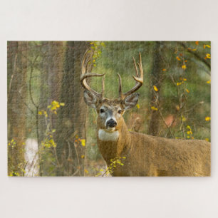 Quebra-cabeça Whitetail Deer Buck Whitefish, Montana