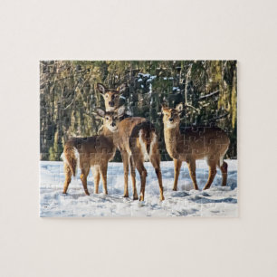 Quebra-cabeça Whitetail Deer em Snow