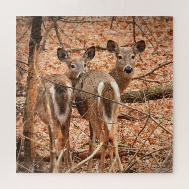 Quebra-cabeça Whitetail Doe e sua Fawn no outono Woods (Horizontal)