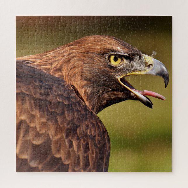 Quebra-cabeça Wild Eagle Jigsee, 676 pcs (Vertical)