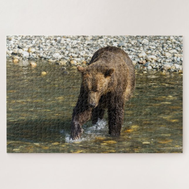 Quebra-cabeça Wild Grizzly Tentando Pegar Salmão No Toba (Horizontal)