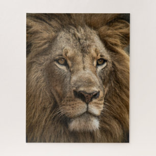 Quebra-cabeça Wild Lion é cara de vida selvagem