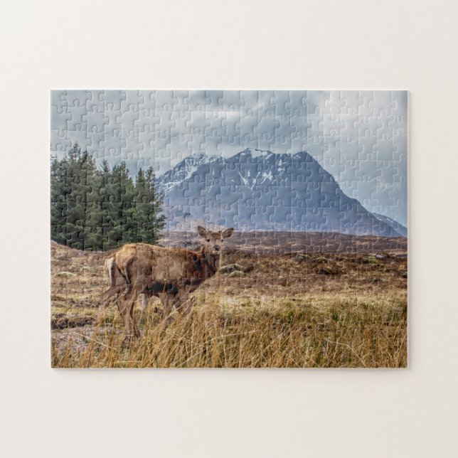 Quebra-cabeça Wild Red Stag em Glencoe Scotland (Horizontal)