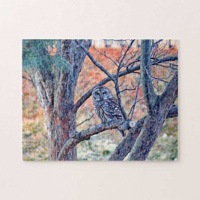 Quebra-cabeça Wildlife Barred Owl Tree Photo (Horizontal)