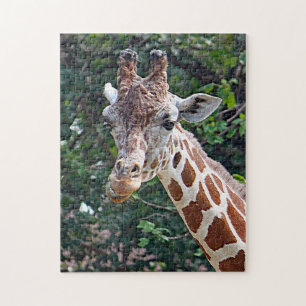 Quebra-cabeça Wildlife Giraffe Foto
