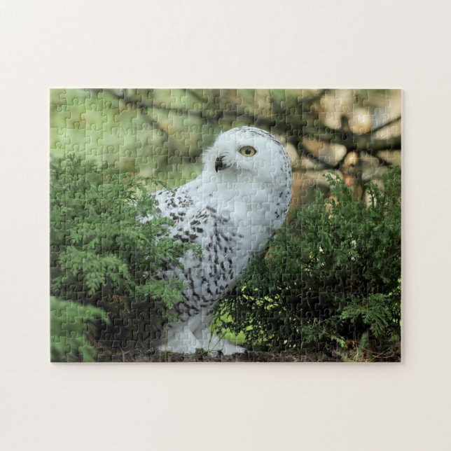 Quebra-cabeça Wildlife White Owl Photo (Horizontal)