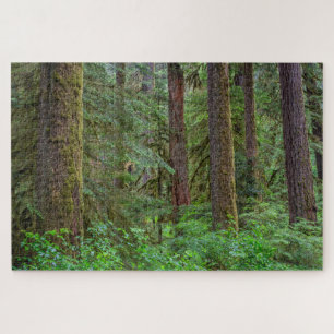 Quebra-cabeça Willamette National Forest Oregon
