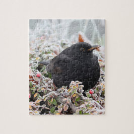 Quebra-cabeça Winter Blackbird
