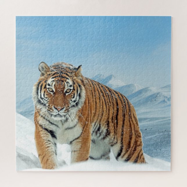 Quebra-cabeça Winter Snow Tiger Mountain Animal Photo Trendy (Horizontal)