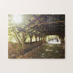 Quebra-cabeça Wisteria Pergola Nova Iorque Central Park NYC