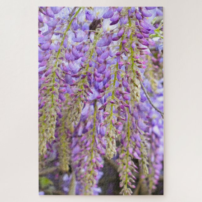 Quebra-cabeça Wisteria Purple Floral Flor Tree Violet (Vertical)