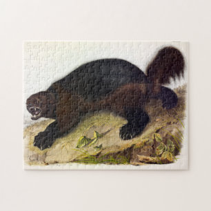 Quebra-cabeça Wolverine ou Wolverene (Gulo gulo) por Audubon