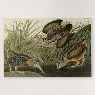 Quebra-cabeça Woodcock Americano das Aves da América de Audubon